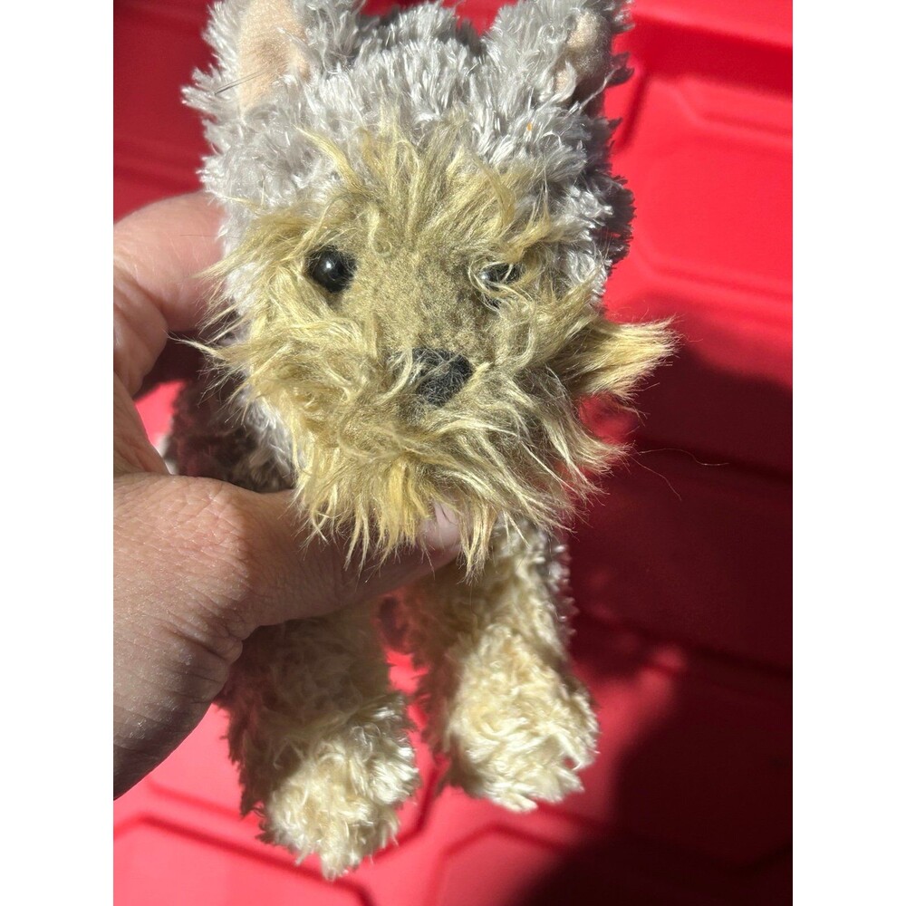 Douglas Yorkie
